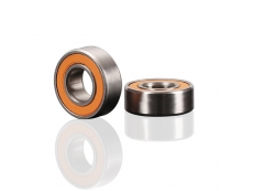 Stainless Ceramic Bearing